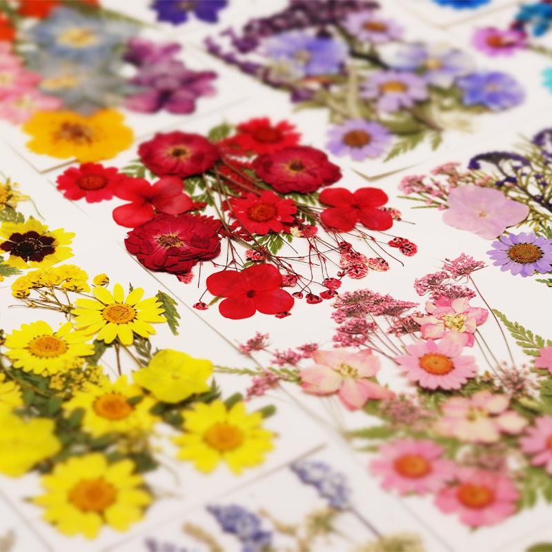 Flower Preservation Resin - Fiori Naturali Pressati e Essiccati per