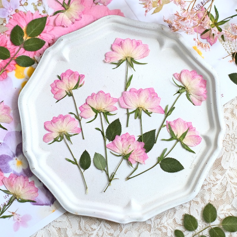 Flower Preservation Resin - 12 pezzi, Fiori Pressati Essiccati Reali