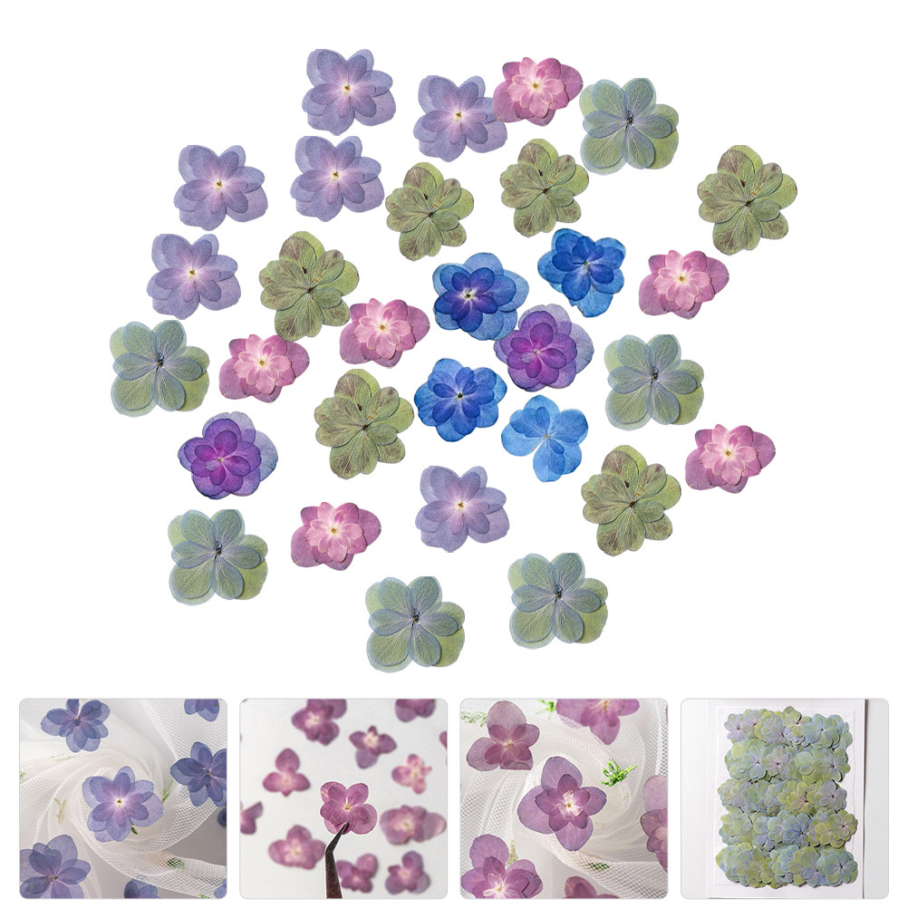 30 pezzi di fiori secchi press - Dried Flower Bulk recensione e prezzo
