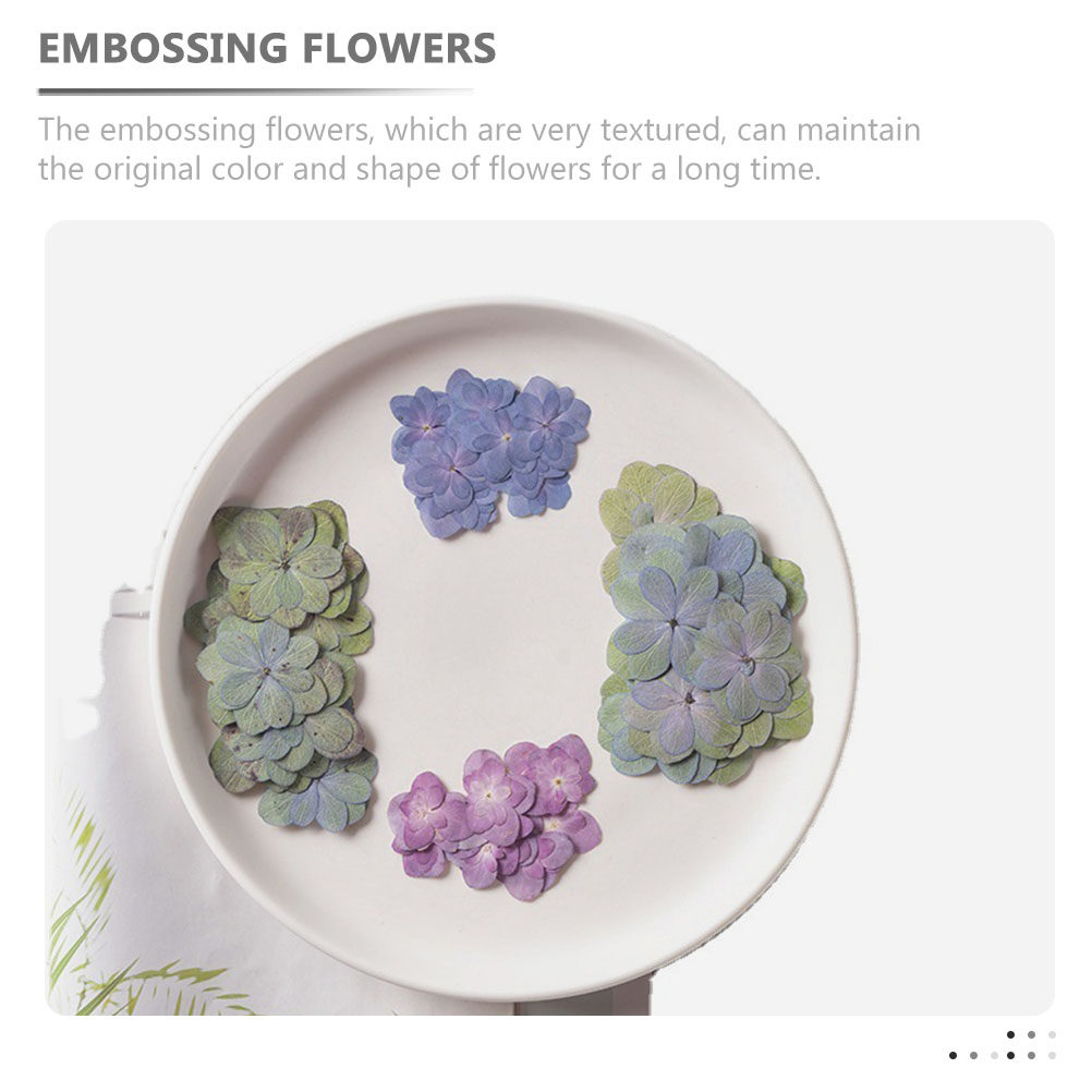 30 pezzi di fiori secchi press - Dried Flower Bulk recensione e prezzo