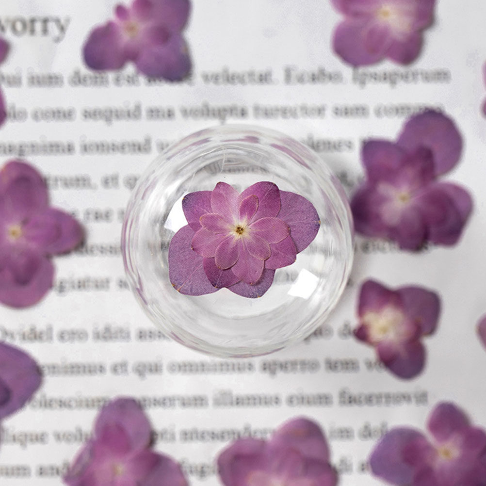 30 pezzi di fiori secchi press - Dried Flower Bulk recensione e prezzo