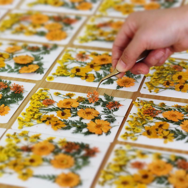 Fiori Naturali Pressati e Essi - Flower Preservation Resin recensione e prezzo