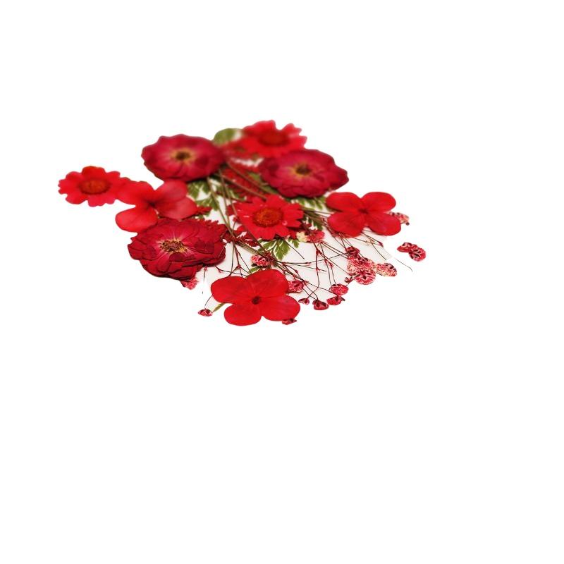 Fiori Naturali Pressati e Essi - Flower Preservation Resin recensione e prezzo