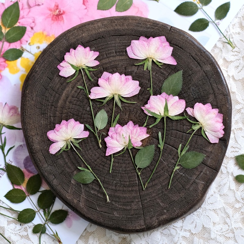 12 pezzi, Fiori Pressati Essic - Flower Preservation Resin recensione e prezzo