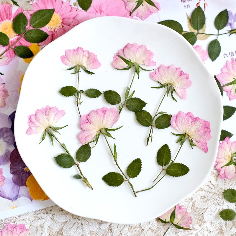 12 pezzi, Fiori Pressati Essic - Flower Preservation Resin recensione e prezzo