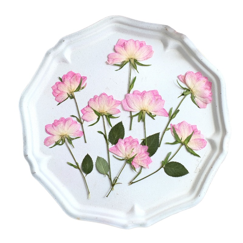 12 pezzi, Fiori Pressati Essic - Flower Preservation Resin recensione e prezzo